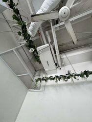 Nucleos (D5), Retail #473999421